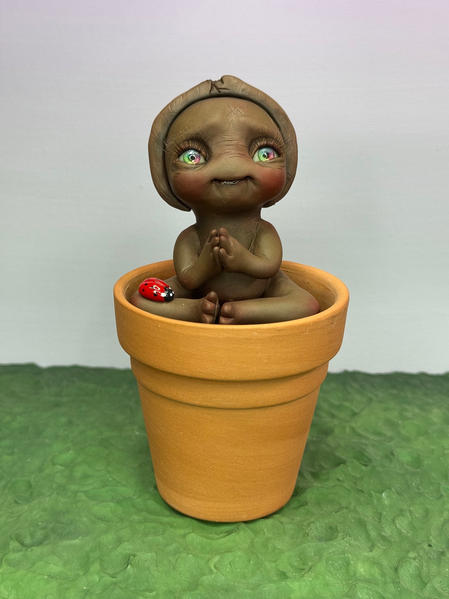Bean | Seed Loveez #1