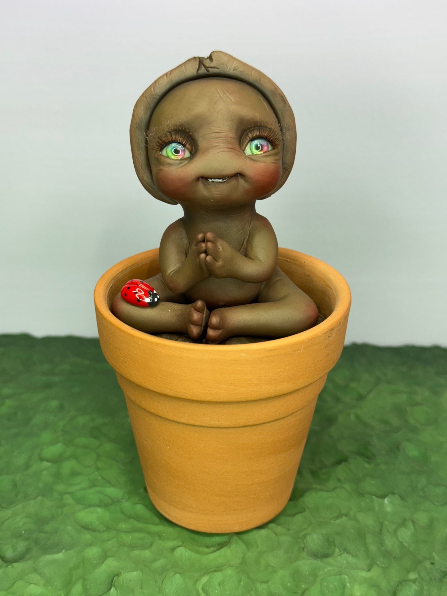 Bean | Seed Loveez #1