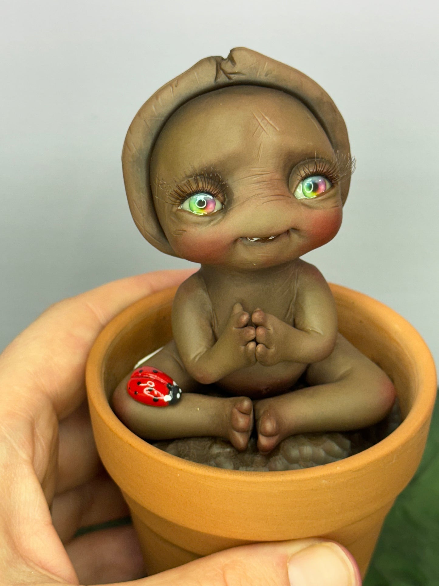 Bean | Seed Loveez #1