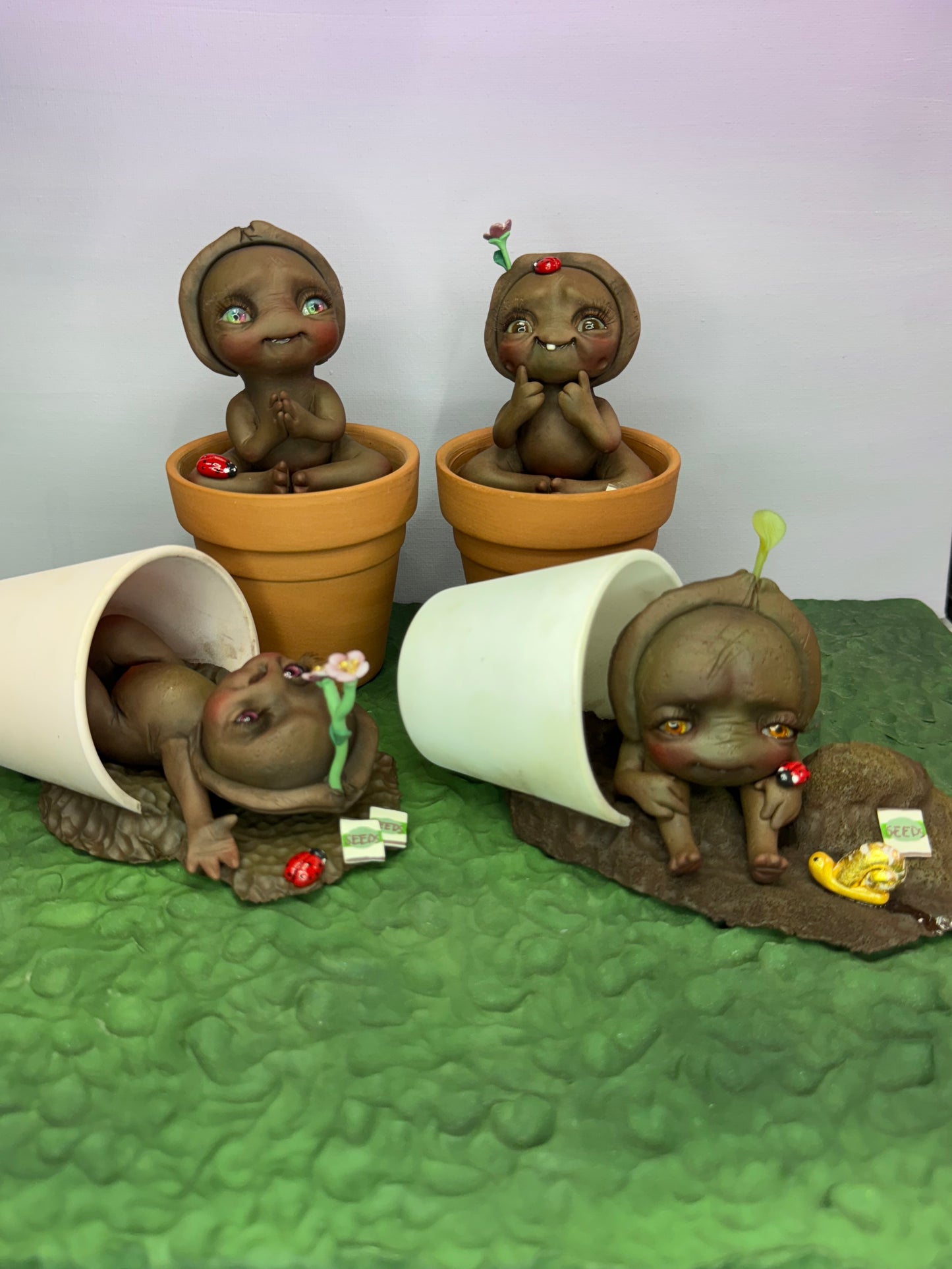 Bean | Seed Loveez #1