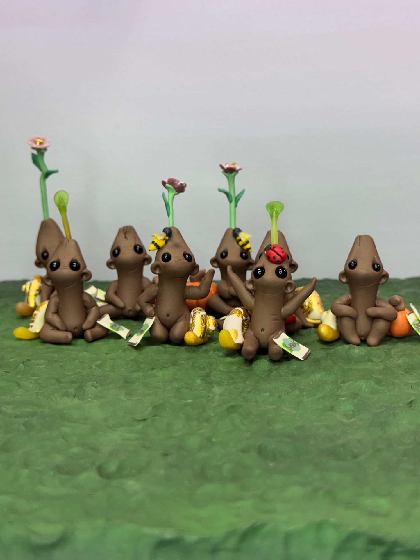 Seed Gloomeez