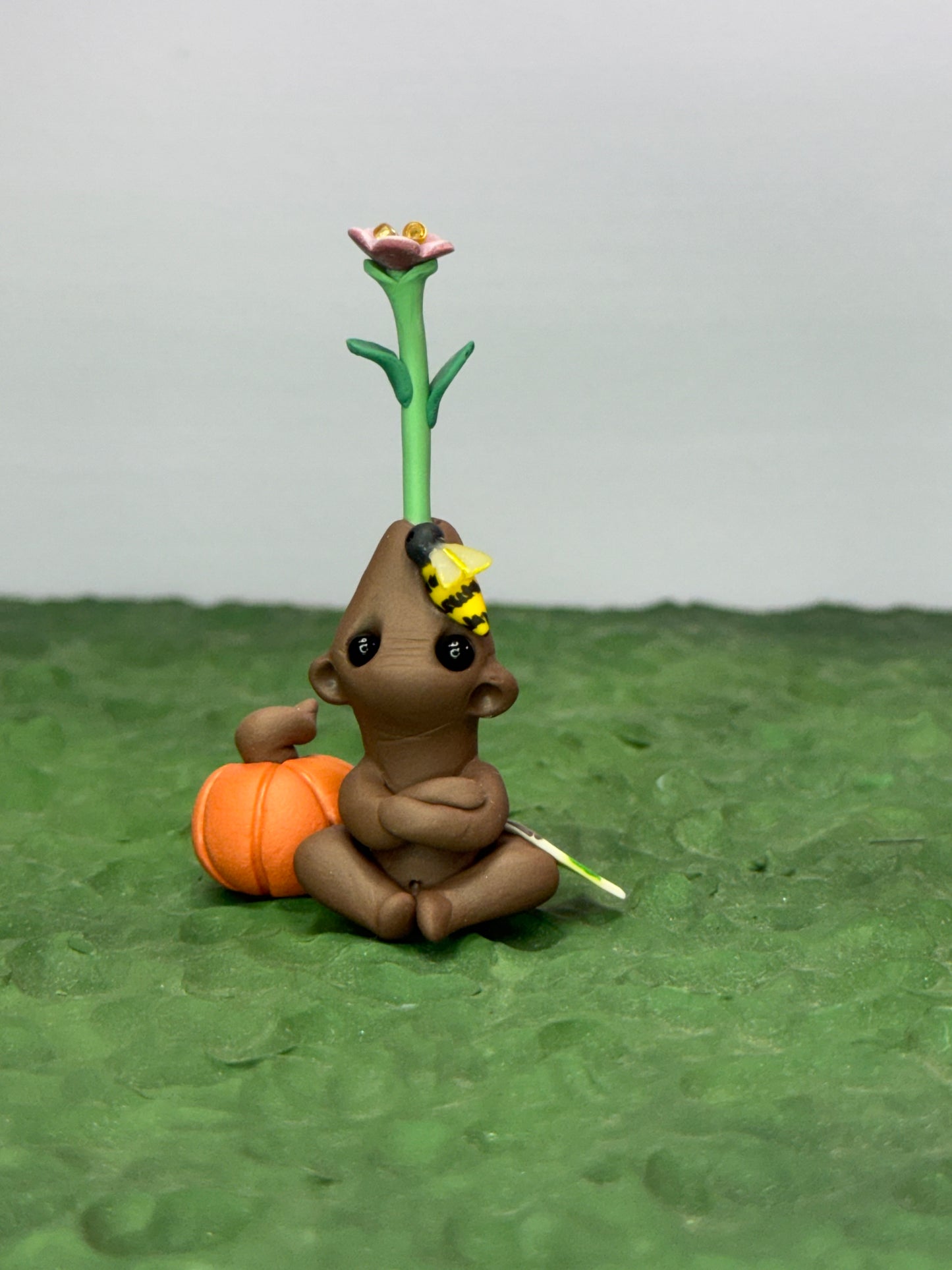 Seed Gloomeez