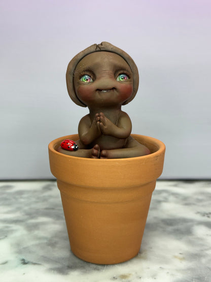 Bean | Seed Loveez #1