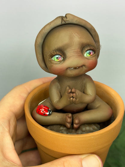 Bean | Seed Loveez #1