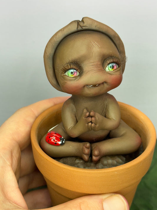 Bean | Seed Loveez #1