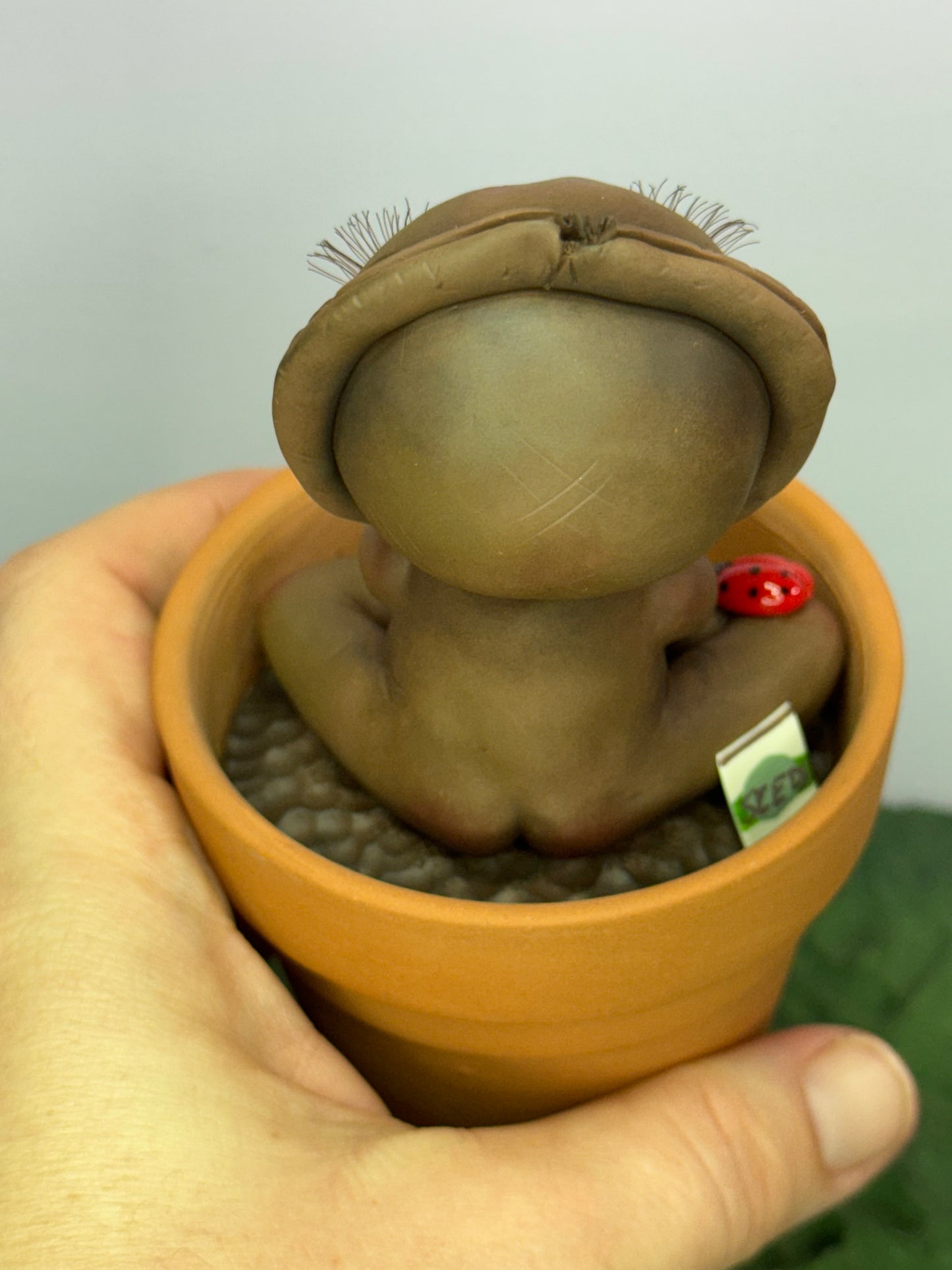 Bud | Seed Loveez #2