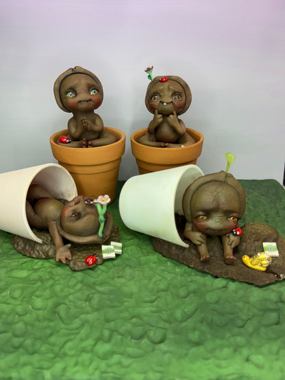 Bean | Seed Loveez #1