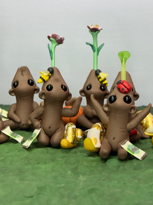 Seed Gloomeez