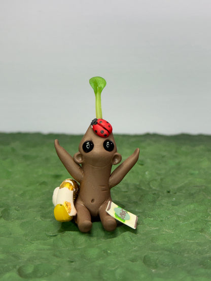 Seed Gloomeez